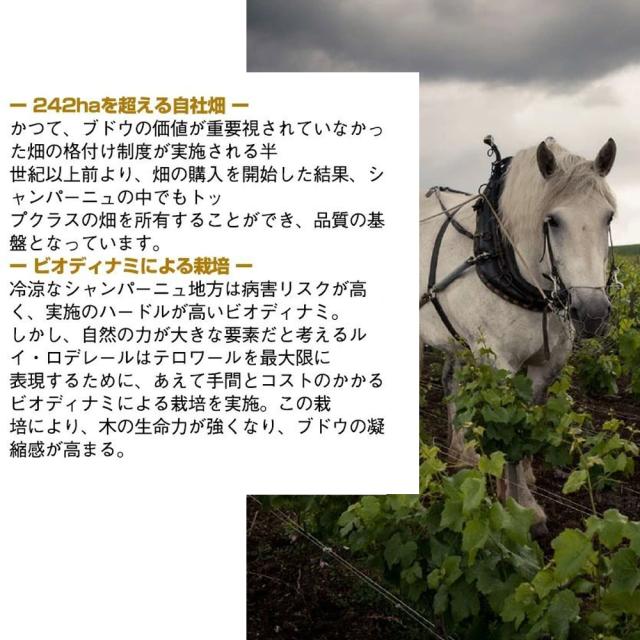 【大型ボトル 専用箱入】ルイ ロデレール Br BdB ミレジメ 2015 AOCミレジム BdB シャンパーニュ 正規品 デカンタ誌驚異の95点_5