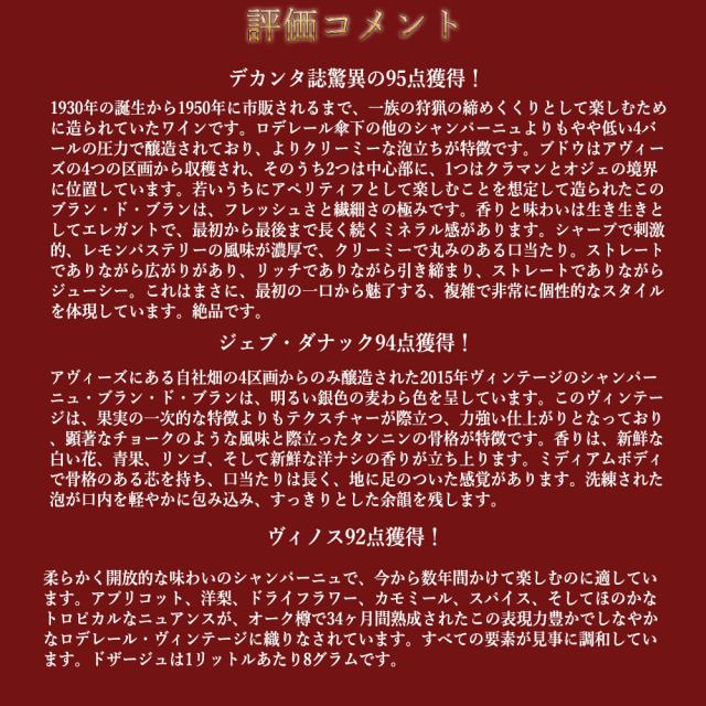 【大型ボトル 専用箱入】ルイ ロデレール Br BdB ミレジメ 2015 AOCミレジム BdB シャンパーニュ 正規品 デカンタ誌驚異の95点_8
