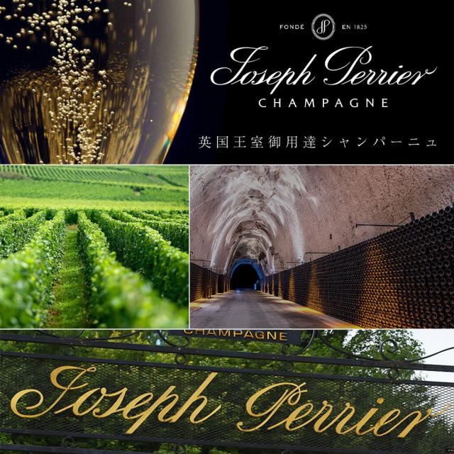 ジョセフ ペリエ シャンパーニュ ブリュット キュヴェ ロワイヤル ヴィンテージ 2015 正規代理店輸入品 AOCミレジム シャンパーニュ