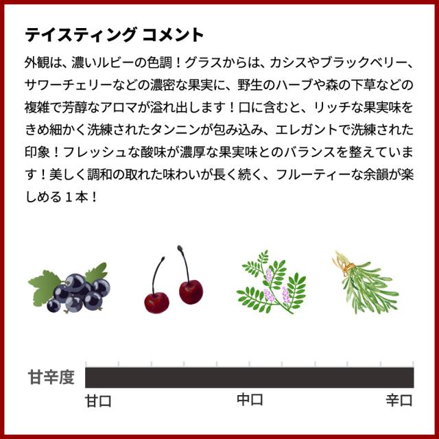 【豪華木箱入】ピティオ 2022 年 アラス デ ピルケ (イタリアの名門アンティノリ家) チリ マイポ ヴァレー 記念すべき初ヴィンテージワイン_7