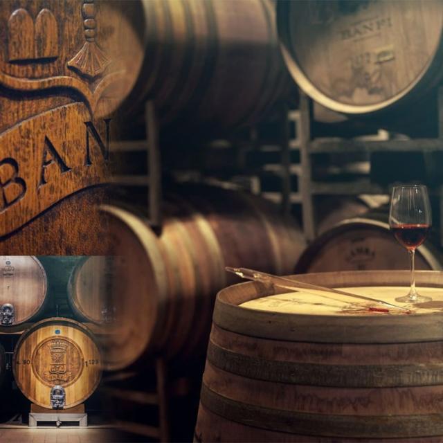 【パスタ付き】ブルネッロ ディ モンタルチーノ ポッジオ アッレ ムーラ 2013 正規代理店輸入品