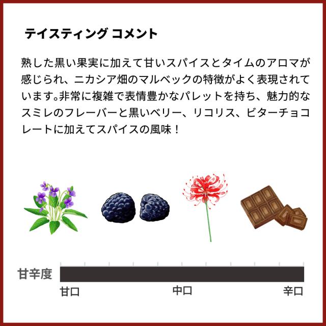 カテナ サパータ ニカシア ヴィンヤード (シングル ヴィンヤード