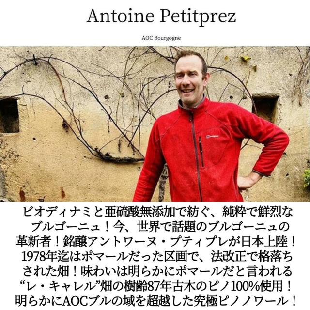 ブルゴーニュ ルージュ レ キャレル 2022 アントワーヌ プティプレ元詰 AOCブルゴーニュ ピノ ノワール 自然派 ビオディナミ SO2無添加