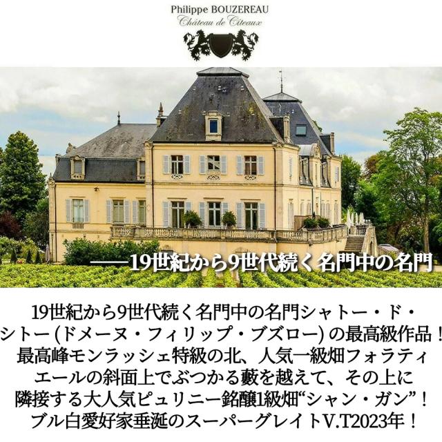ピュリニー モンラッシェ プルミエ クリュ 一級 レ シャン ガン 2023 蔵出し限定作品 シャトー ド シトー元詰  AOCピュリニー_1