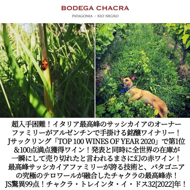 チャクラ トレインタ イ ドス32 2022 蔵出し ボデガ チャクラ(サッシカイア)元詰 ピノ ノワール100％ ロウ封印キャップ