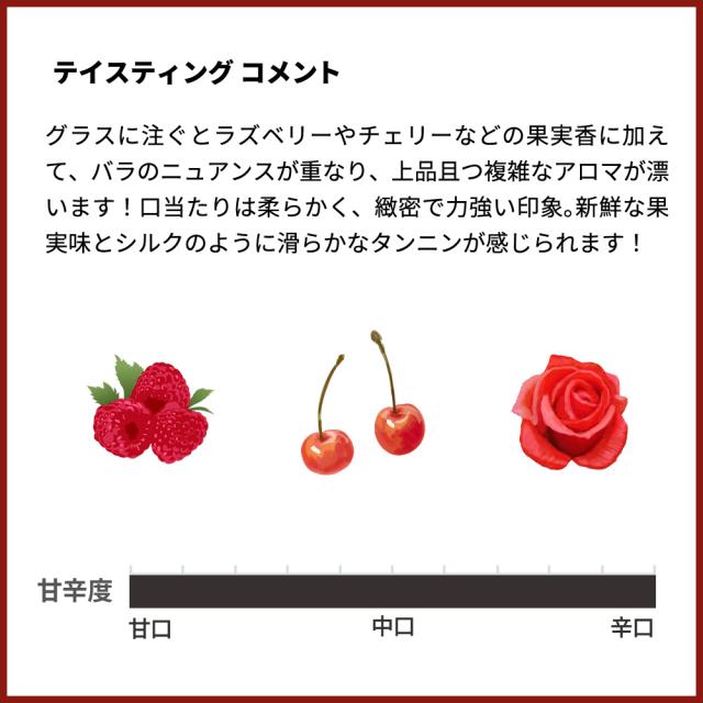 チャクラ トレインタ イ ドス32 2022 蔵出し ボデガ チャクラ(サッシカイア)元詰 ピノ ノワール100％ ロウ封印キャップ