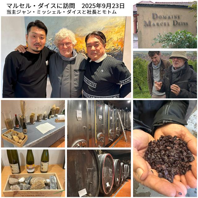 アルザス プルミエ クリュ 一級 グリュエンスピール ルージュ赤 2022 蔵出し限定品 ドメーヌ マルセル ダイス元詰 自然派 WA驚異の93点_5