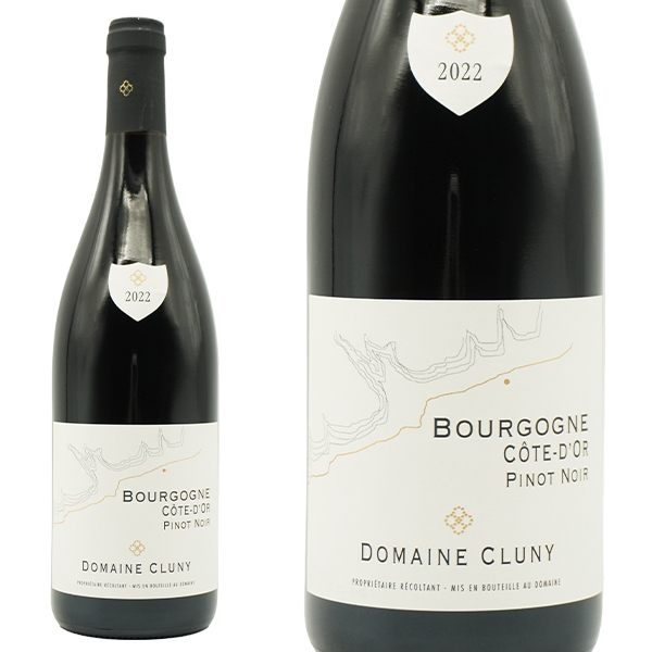 ブルゴーニュ コート ドール ルージュ 2022 蔵出し作品 ドメーヌ クリュニー元詰(世界最高峰のロマネ コンティのみで修行)