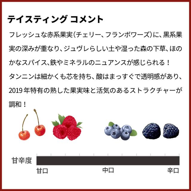 ジュヴレ シャンベルタン 2019 蔵出し品 ドメーヌ ルモワスネ ペール フィス (レコルト デュ ドメーヌ) 正規品_3