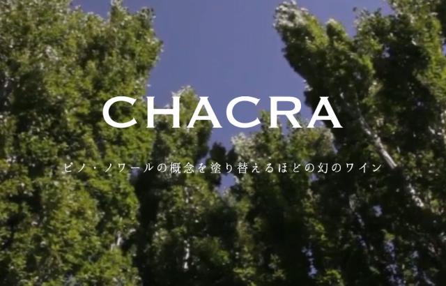 チャクラ トレインタ イ ドス32 2022 蔵出し ボデガ チャクラ(サッシカイア)元詰 ピノ ノワール100％ ロウ封印キャップ