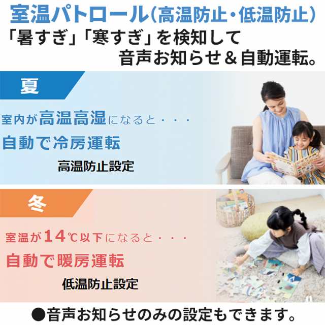 標準取付工事費込 エアコン おもに6畳 ダイキン 重塩害仕様 2024年 Eシリーズ 除湿 S224ATES-WE2-SETの通販はau PAY  マーケット - イーマックスジャパン | au PAY マーケット－通販サイト