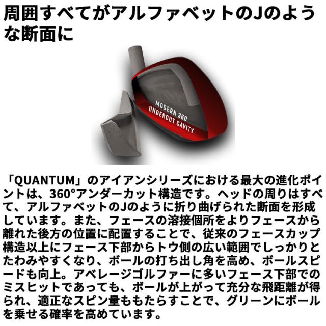 メーカーカスタムクラブ キャロウェイ クアンタム マックス アイアン 5本セット(#6-PW) 右用 Dynamic Gold 105 スチールシャフト 日本正規品 QUANTUM MAX 2026