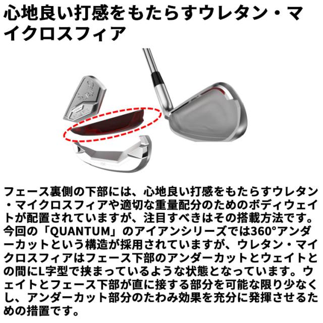 メーカーカスタムクラブ キャロウェイ クアンタム マックス アイアン 5本セット(#6-PW) 右用 Dynamic Gold 105 スチールシャフト 日本正規品 QUANTUM MAX 2026