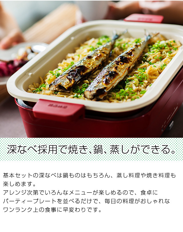 プレート3枚セット】パーティープレート タイガー ホットプレート結婚