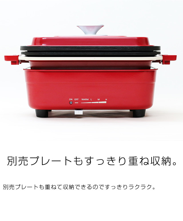 プレート2枚セット】パーティープレート タイガー ホットプレート結婚