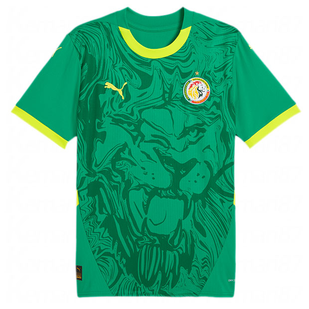 セネガル代表|2025|アウェイ|半袖レプリカユニフォーム　【PUMA|プーマ】ナショナルチームレプリカウェアー777166-03