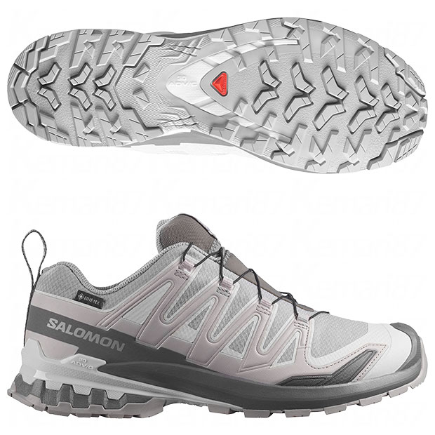 エックスエー プロ 3D V9 GORE-TEX XA PRO 3D V9 GORE-TEX　アロイ×キャッスルロック　【SALOMON|サロモン】ランニングシューズl49199100