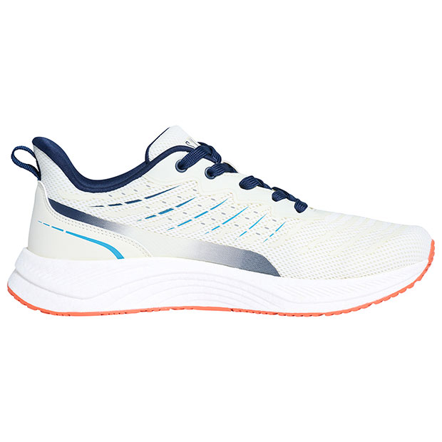 サボテン サボテン：短刺キンシャチ（金鯱） 3号鉢植え の通販 | 園芸ネット