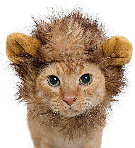 犬猫用 コスプレキャップ ライオンのたてがみ 耳付き 可愛い帽子 着脱簡 中古品 の通販はau Pay マーケット World Import Store