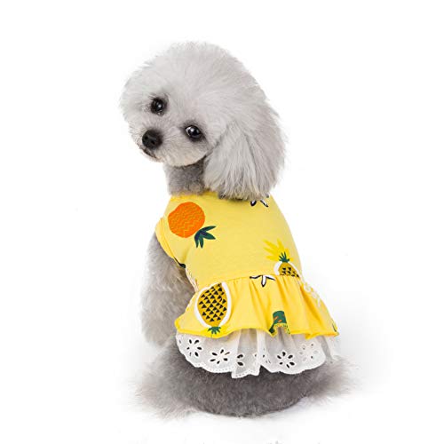 犬 レインコート レインポンチョ 犬服 カッパ 小型犬 中型犬 着せやすい 雨 新古未使用品 の通販はau Pay マーケット World Import Store