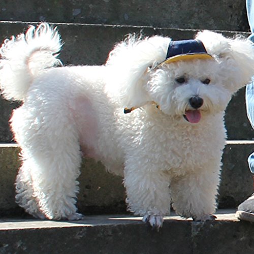 ペット帽子 野球帽 犬のバイザー サンキャップ 魅力的 犬用 S 新古未使用品 の通販はau Pay マーケット World Import Store