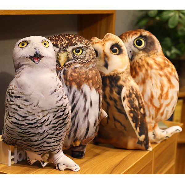 チョウゲンボウ
