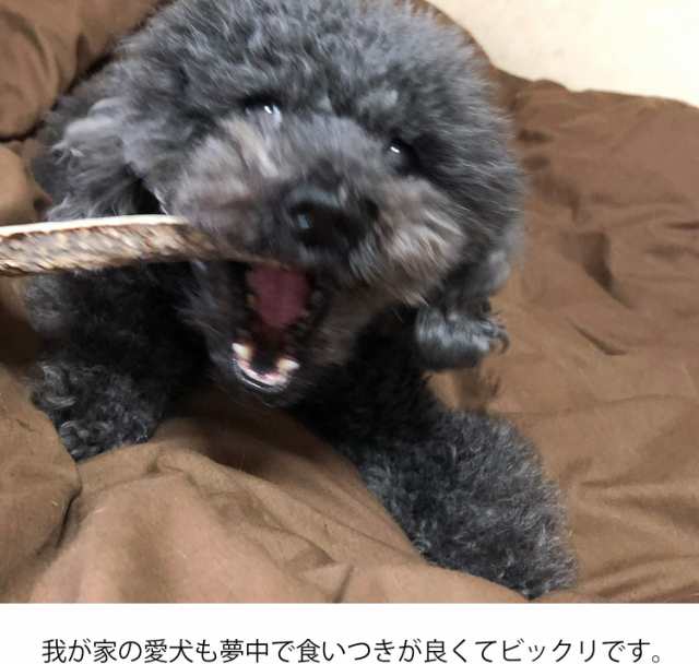 鹿の角 犬 おもちゃ 10ｃｍ 小型犬 無添加 おやつ エゾジカ 国産 鹿 角 ガム デンタルケア Monolifeの通販はau Pay マーケット モノライフ