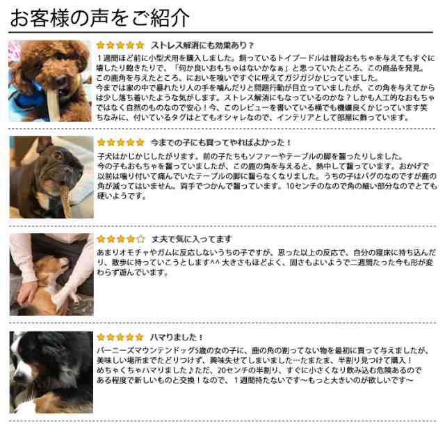 鹿の角 犬 おもちゃ 15ｃｍ 中型犬 無添加 おやつ エゾジカ 国産 鹿 角 ガム デンタルケア Monolifeの通販はau Pay マーケット モノライフ