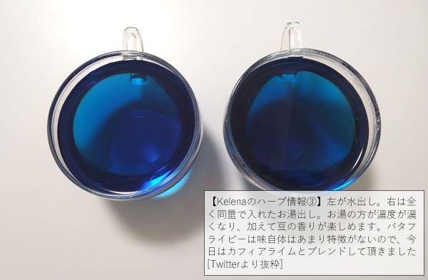 バタフライピー（Butterfly Pea・蝶豆・チョウマメ） 0.7g×7ティーバッグ [ハーブティー ティーバッグ ノンカフェイン  お試し]の通販はau PAY マーケット - Herbshop ケレナ | au PAY マーケット－通販サイト