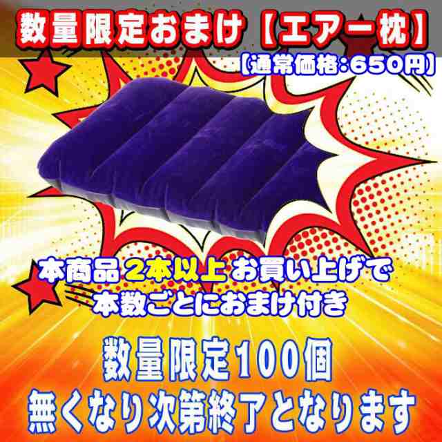 レジャーマット 厚い 約20mm レジャーシート 厚手 折り畳み マット 折りたたみ式 シュラフ 寝袋 専用収納袋付き 車中泊 アウトドア  キャの通販はau PAY マーケット - dream-brother