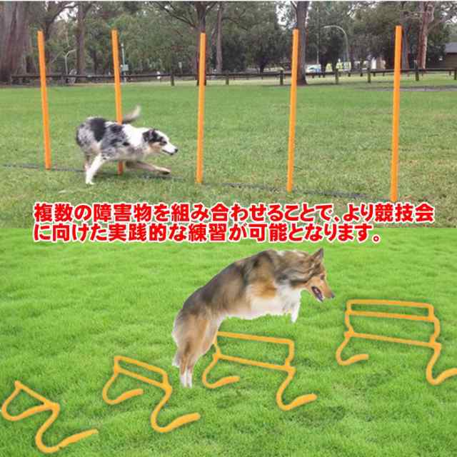 ドッグ アジリティ 犬用 障害物 自立式 ミニハードル 6台セット アジリティポール 5本 トレーニングポール コーナーフラッグポール ペット 犬用品  運動器具 競技 訓練 トレーニング しつけ スラローム ドッグラン その他ペット・ペットグッズ