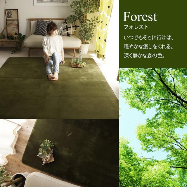 【ホットカーペット/床暖房対応】ラグ 洗える さらふわラグ 190x240cm ホリデープラス 13色対応 ラグマット おしゃれ ラグカーペット 低反発 長方形 撥水加工 洗濯機可 ペット対応 すべり止め オールシーズン 北欧_5