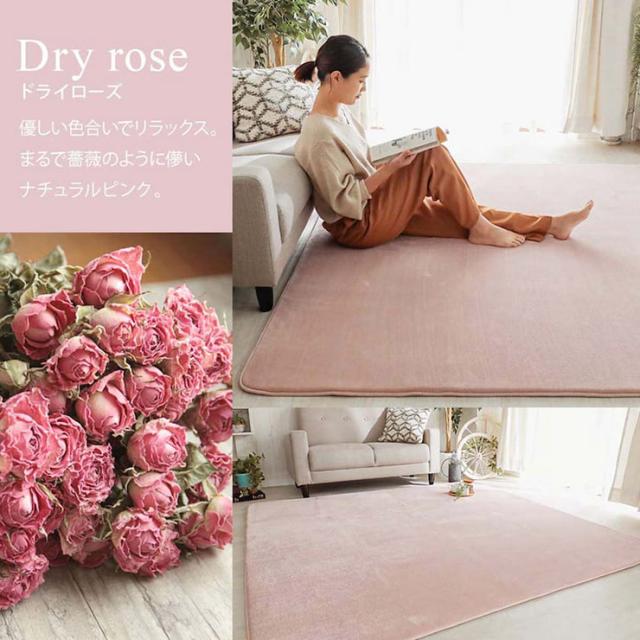 【ホットカーペット/床暖房対応】ラグ 洗える さらふわラグ 190x240cm ホリデープラス 13色対応 ラグマット おしゃれ ラグカーペット 低反発 長方形 撥水加工 洗濯機可 ペット対応 すべり止め オールシーズン 北欧_9