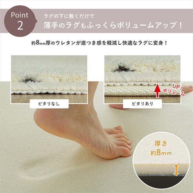 下敷きつや消し 170x230糎 すべり止めつや消し 引っ敷き 引っ敷き 引っ敷き すべり止め 矩形 洗い濯ぎ機可 床暖房装置相応う 熱っぽい引っ敷き相応う 殺虫剤 低ホルムアルデヒド 敷き物 オール時季 格好のいい ピタリ