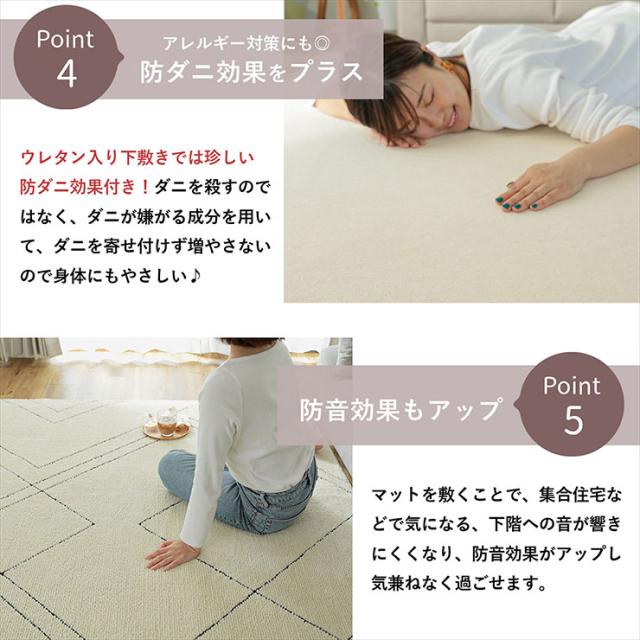 下敷きつや消し 170x230糎 すべり止めつや消し 引っ敷き 引っ敷き 引っ敷き すべり止め 矩形 洗い濯ぎ機可 床暖房装置相応う 熱っぽい引っ敷き相応う 殺虫剤 低ホルムアルデヒド 敷き物 オール時季 格好のいい ピタリ