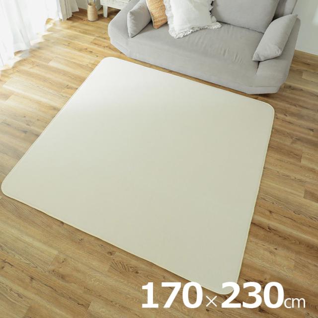 下敷きつや消し 170x230糎 すべり止めつや消し 引っ敷き 引っ敷き 引っ敷き すべり止め 矩形 洗い濯ぎ機可 床暖房装置相応う 熱っぽい引っ敷き相応う 殺虫剤 低ホルムアルデヒド 敷き物 オール時季 格好のいい ピタリ