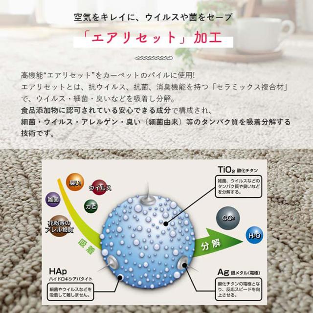 国産 ラグ カーペット 130x190cm ラグマット ラグカーペット 長方形 敷き物 絨毯 洗濯機可 抗菌 防臭効果 防ダニ 床暖房対応 ホットカーペット対応 軽量 編み地模様 おしゃれ レオル 2色対応_6