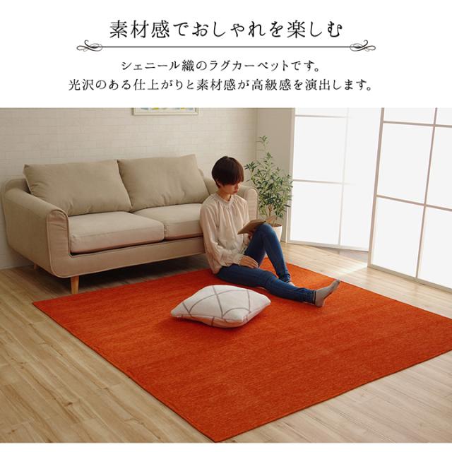 【すべり止め付き/洗濯機OK/ホットカーペット対応】撥水シェニールラグ モデルノ 200x250cm 7色対応 ラグ カーペット 洗える ラグマット 長方形 無地 オールシーズン おしゃれ ホットカーペットカバー 床暖房_12