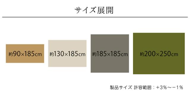 【すべり止め付き/洗濯機OK/ホットカーペット対応】撥水シェニールラグ モデルノ 200x250cm 7色対応 ラグ カーペット 洗える ラグマット 長方形 無地 オールシーズン おしゃれ ホットカーペットカバー 床暖房_1
