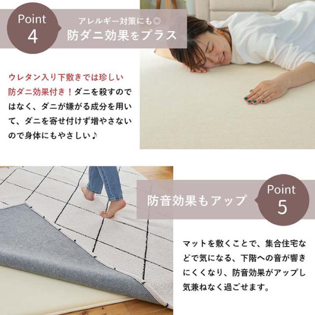 【ホットカーペット/床暖房対応】ラグ 下敷き 防音 ラグマット 170x230cm ピタリプレミアム 低反発 カーペット 下敷きラグ 洗える 長方形 3畳 絨毯 おしゃれ すべり止め 1人暮らし オールシーズン_10