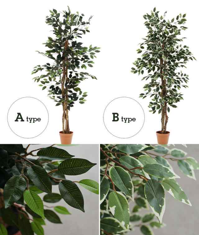 人工観葉植物 フェイクグリーン Ficuse フィカス 690 H150cm H160cm 2種対応 人工植物 観葉植物 おしゃれ フェイク 造花 大型 グリーンの通販はau Pay マーケット 家具のわくわくランド Au Payマーケット店