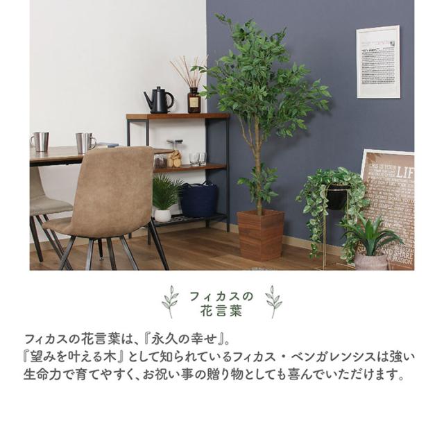 人工観葉植物 フェイクグリーン フィカス H160cm ジョイント式 人工植物 観葉植物 おしゃれ フェイク 造花 大型 グリーン インテリア_2