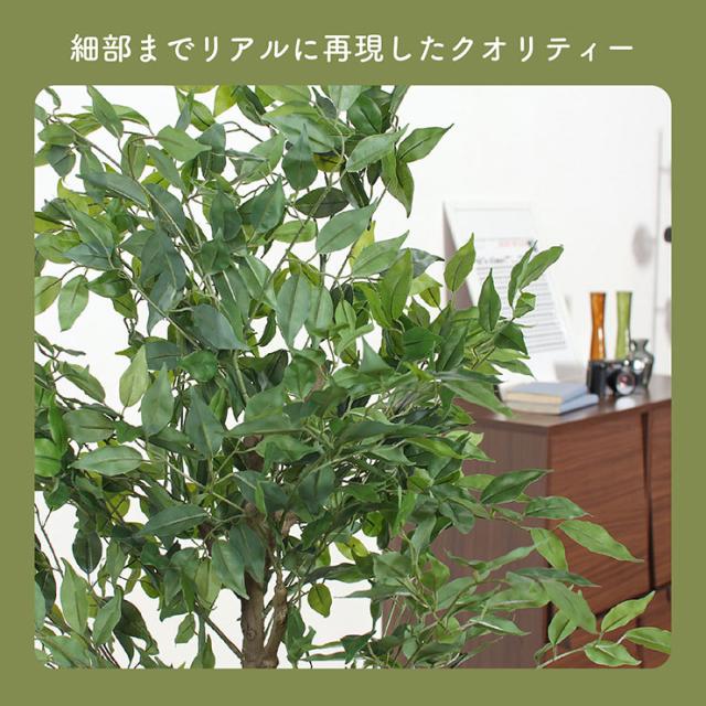 人工観葉植物 フェイクグリーン フィカス H160cm ジョイント式 人工植物 観葉植物 おしゃれ フェイク 造花 大型 グリーン インテリア_3