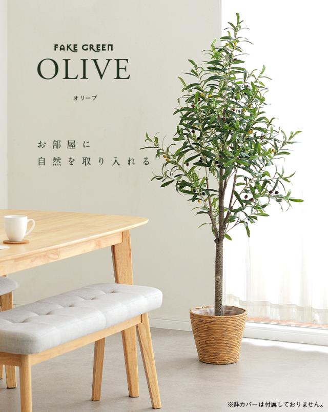 人工観葉植物 フェイクグリーン OLIVE(オリーブ) GRN-17 H152cm 人工植物 観葉植物 おしゃれ フェイク 造花 大型 グリーン オリーブの木 インテリア_2