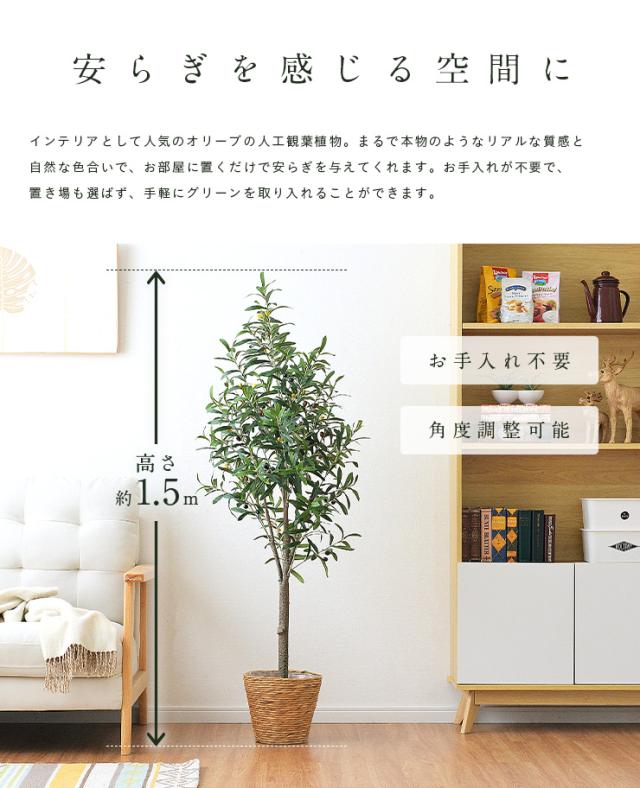 人工観葉植物 フェイクグリーン OLIVE(オリーブ) GRN-17 H152cm 人工植物 観葉植物 おしゃれ フェイク 造花 大型 グリーン オリーブの木 インテリア_3