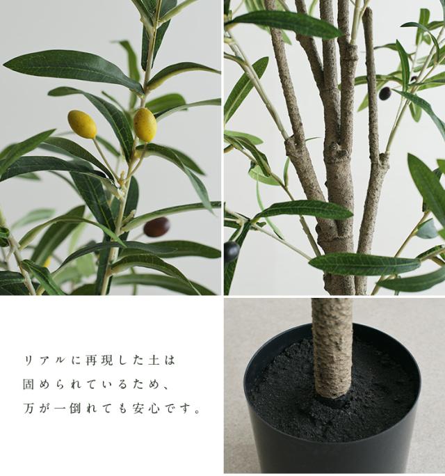 人工観葉植物 フェイクグリーン OLIVE(オリーブ) GRN-17 H152cm 人工植物 観葉植物 おしゃれ フェイク 造花 大型 グリーン オリーブの木 インテリア_5
