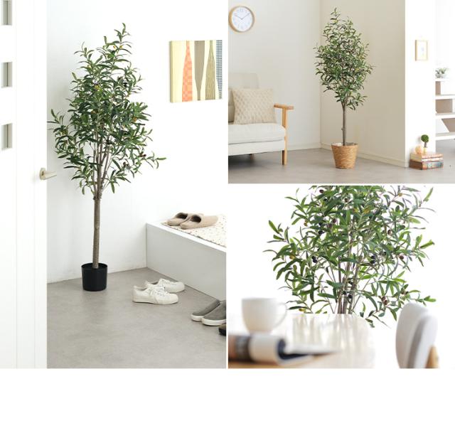 人工観葉植物 フェイクグリーン OLIVE(オリーブ) GRN-17 H152cm 人工植物 観葉植物 おしゃれ フェイク 造花 大型 グリーン オリーブの木 インテリア_8