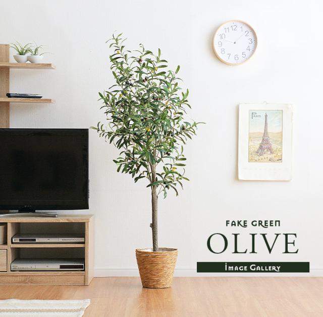 人工観葉植物 フェイクグリーン OLIVE(オリーブ) GRN-17 H152cm 人工植物 観葉植物 おしゃれ フェイク 造花 大型 グリーン オリーブの木 インテリア_9