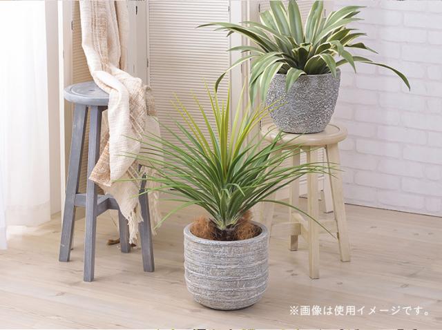 人工観葉植物 フェイクグリーン ミニパイナップル GRN-12 H67cm 人工植物 観葉植物 おしゃれ フェイク 造花 大型 グリーン インテリア_3