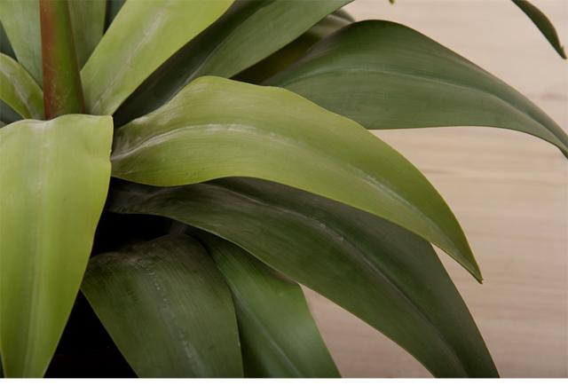 人工観葉植物 フェイクグリーン アガベ GRN-14 H53cm 人工植物 観葉植物 おしゃれ フェイク 造花 大型 グリーン インテリア_5